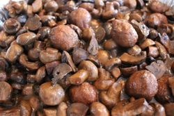 Kibbeh With Mushrooms(MEAT)