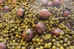 Kibbeh With Peas