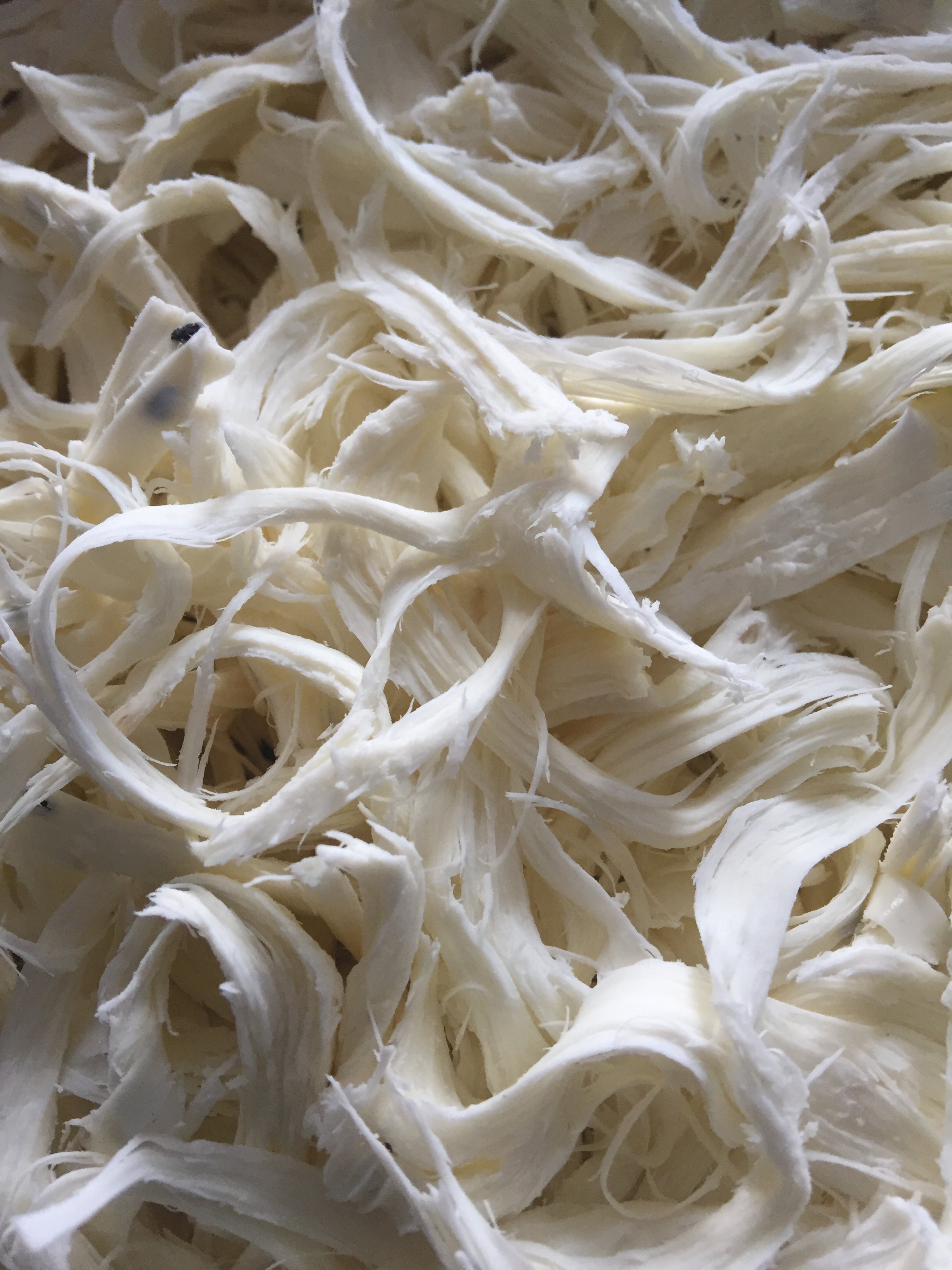 String Scheese String Cheese By Mazza And More | Kosherfoodcourts.com – Kosher Food Courts