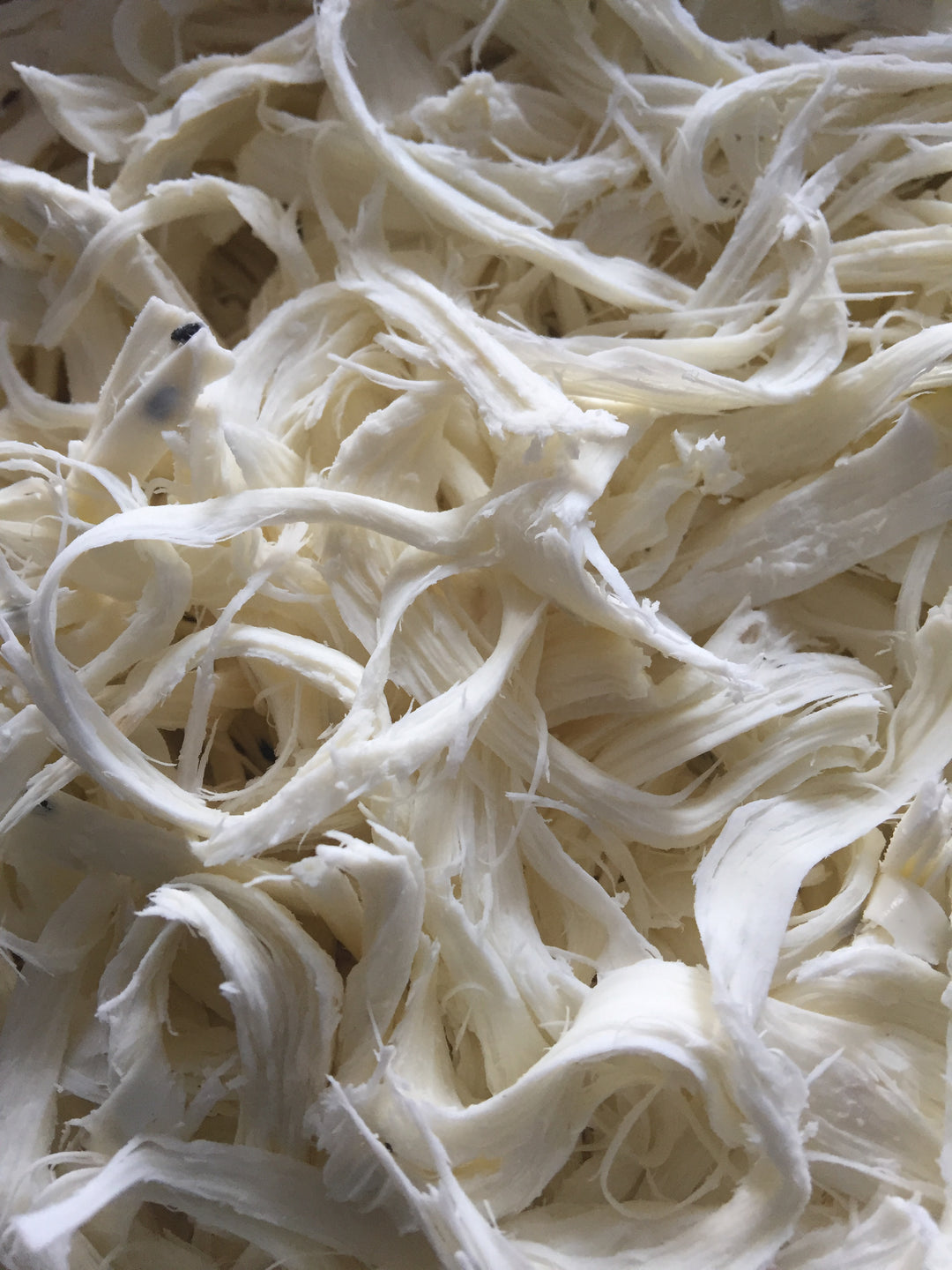 String Cheese By Mazza And More | Kosherfoodcourts.com – Kosher Food Courts